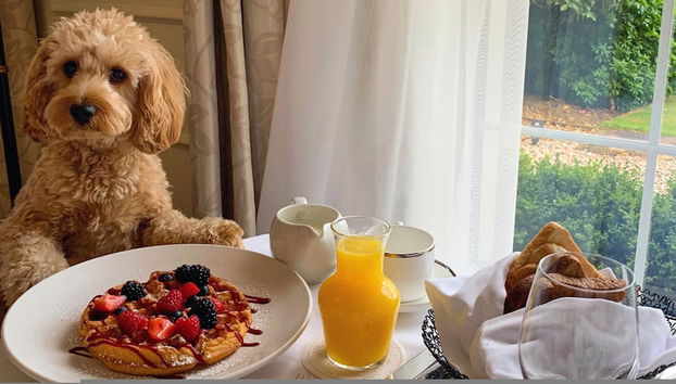 Tiny House in Sevierville - Foto 2, Habitación
