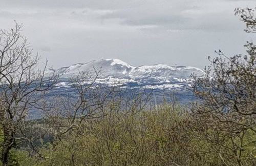 Apartman SIRENA - Photo 10