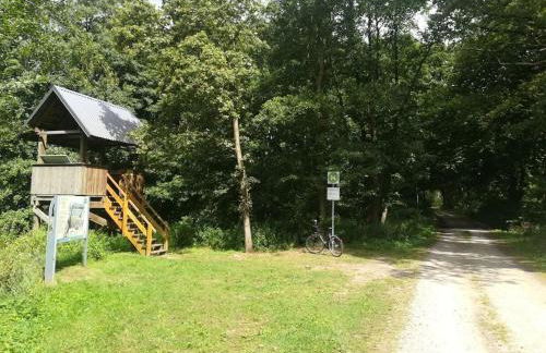 Old School Nausdorf - Foto 18