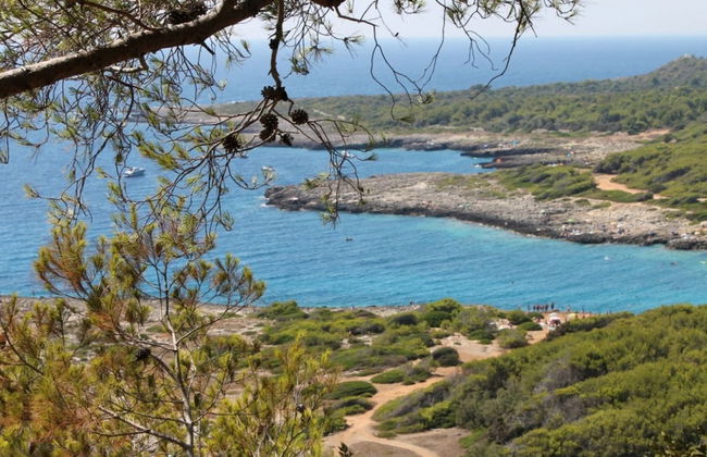 Bilocale Trullo Torre Vado - Photo 16