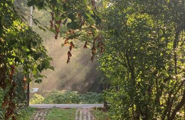 Villa Maria Rosaria - Foto 14