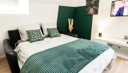 Mirabeau Sous Les Toits 2 - Tours - Photo 2