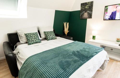 Mirabeau Sous Les Toits 2 - Tours - Photo 2