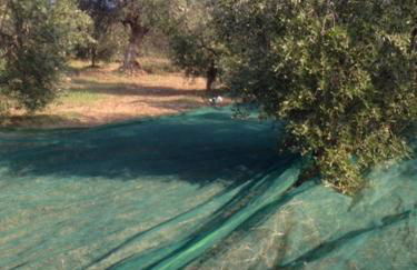 Il Filo di Arianna Cottage di Campagna - Photo 47