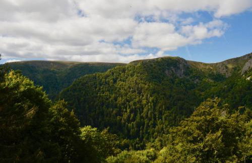 Wellness & Adventure Escape - Foto 23