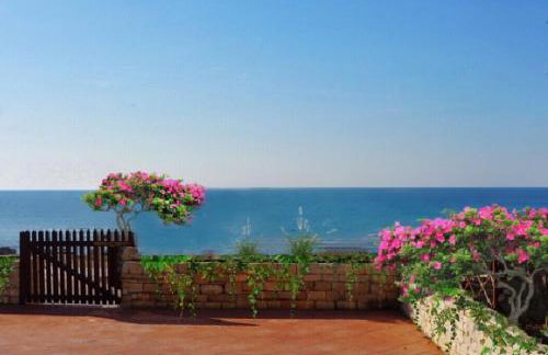 Apartmani Vesna - Foto 44