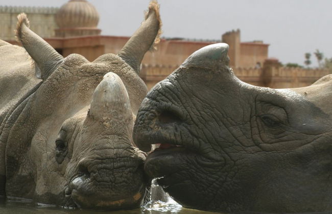 Terra Natura Benidorm - ¡¡Oferta Especial Invierno!! - Foto 8