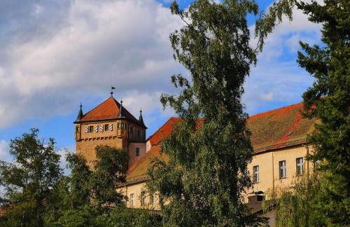 FeWo - Im SCHWARZACHTAL - Foto 24