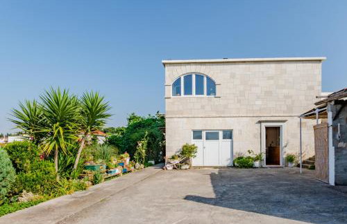 Studio Vijađ - Photo 22