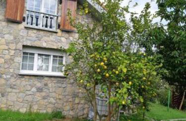 Finca La Sierra - Foto 3