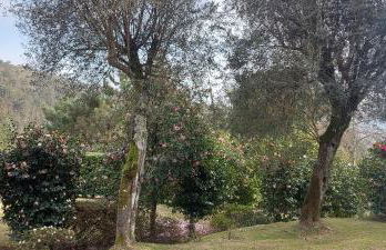 Casas da Tapada Briteiros Casa dos Ficos - Foto 20