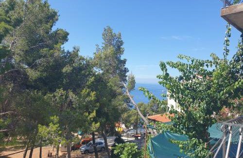 Apartmani Zaninović - Foto 67