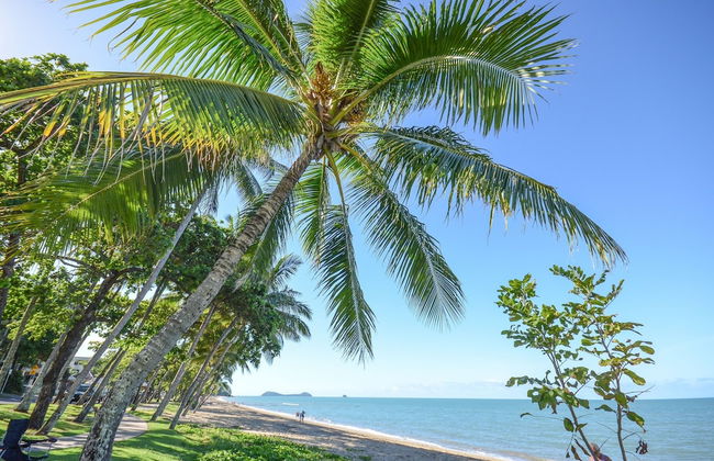Beachfront Apartments on Trinity Beach - Photo 37