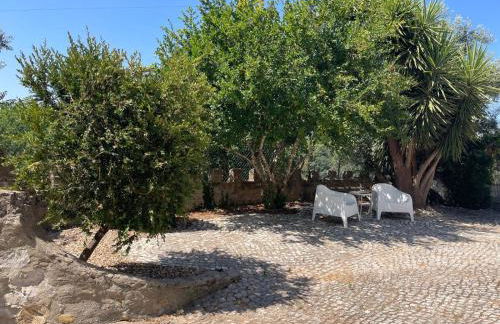 Quinta dos Canais - Photo 61