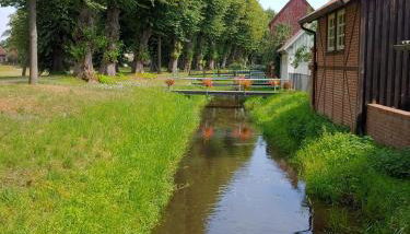 Ferienhaus "Kleinod" - Foto 3