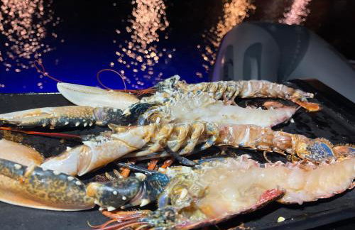 yacht Twenty Seven - Foto 18