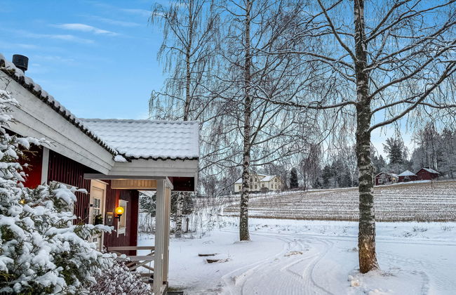 Peltosirkku - Photo 29