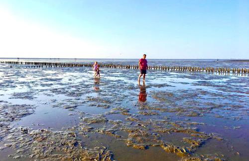 Deichoase Strandhaus - Foto 1