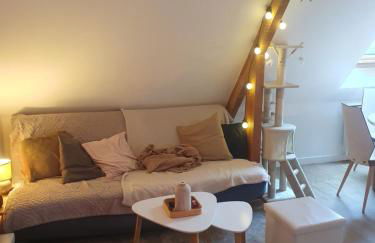 Le 105 - appart-sympa - T2 vue jardin et cave - Larmor-Plage - Foto 4