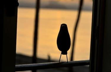 Beachfront, First line, 2-Bdr,2-Bath, Swiming Pool - Photo 52