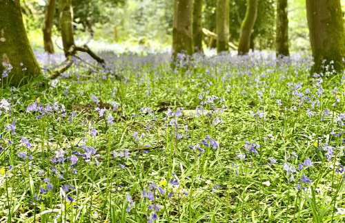 Slowley Farm - Photo 128