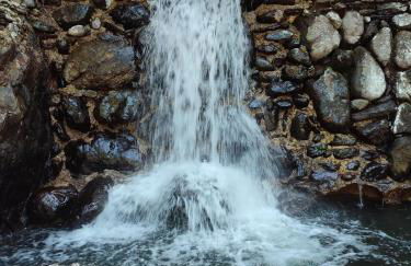 Le marronnier - Foto 11