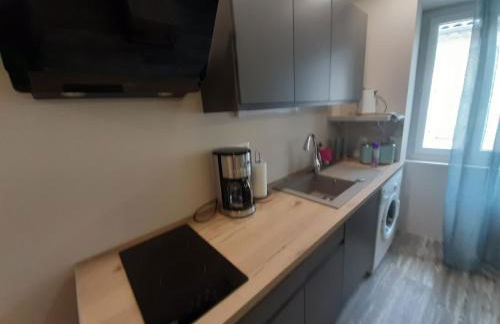 3 Apt T2 COSY de 40 à 50 M2 Idéal pour un déplacement PRO " Les IRIS " - Foto 26