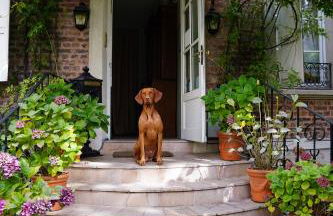 Villa Escudier Appart-hôtel - Foto 114