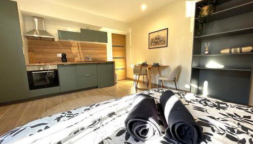 Studio proche Cancéropôle et Univ Jean Jaurès - Foto 2