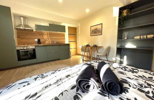 Studio proche Cancéropôle et Univ Jean Jaurès - Foto 2