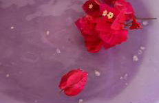 Chalé romântico, com vista panorâmica, para Casais - Foto 50