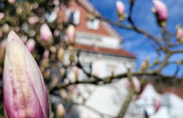Haus Am Beckerberg im Harz - Foto 34