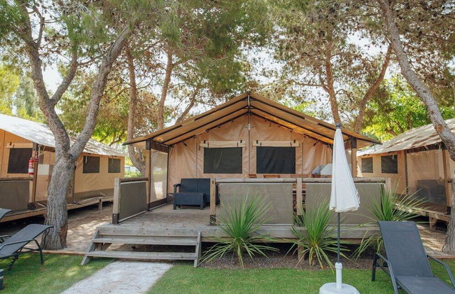 Alannia Guardamar - Foto 21