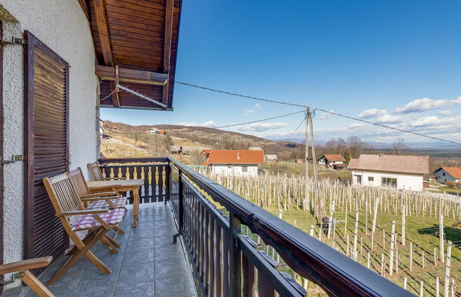 Vineyard Cottage Bahor - Foto 15