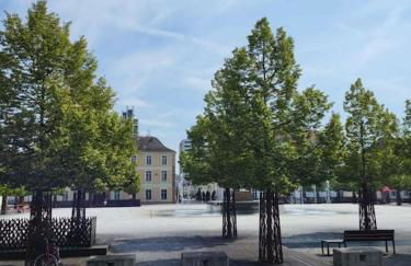 Studio Charme Huningue Abbatucci - Foto 10