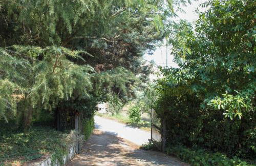 La Masseria - Foto 28