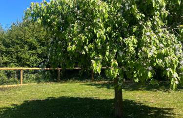 1 Brook Cottage, Sotterley Estate - Foto 9