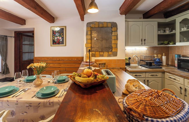 The Bird of Happiness-heaven for Dogs - Foto 21