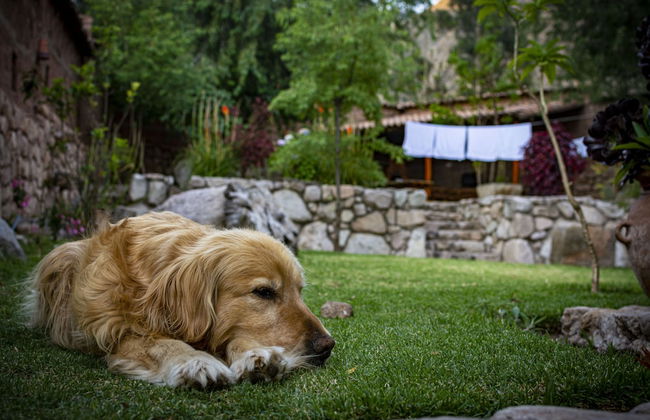 URUHome Cusco - Foto 38