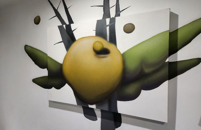 Casa Salvia - Rural Holiday Home - Foto 2