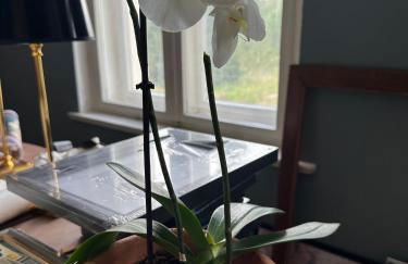 Arboris - Retreat into the open - Photo 21