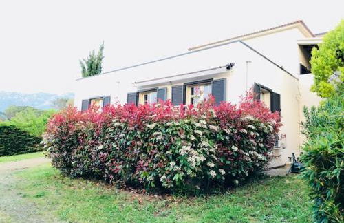 Villa Oliera - Foto 2