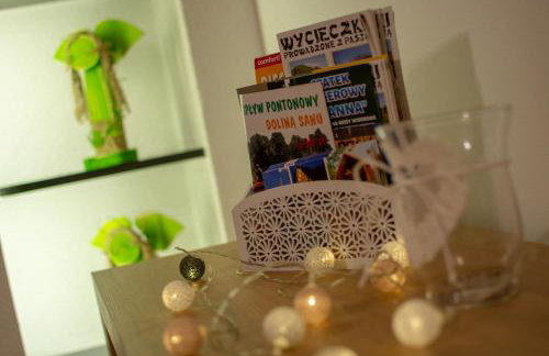 Chaty Anety Domki Całoroczne - Foto 79