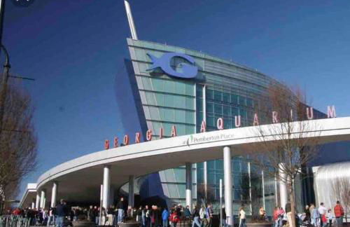 Atlanta Penthouse King/ Queen Bd - Foto 53