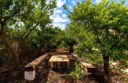 Il bilo di Giuseppe 458 - Foto 19