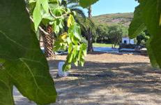 Quinta da Utopia - Foto 44