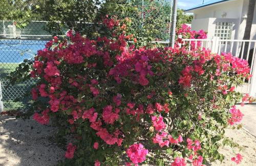 Tropical Getaway w/Private Beach 1 BD Condo - Foto 13