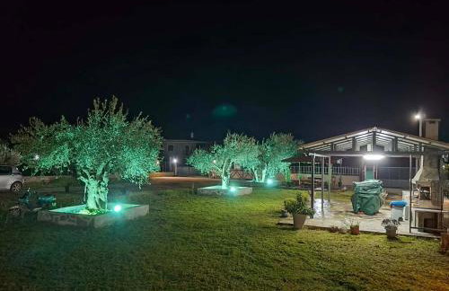 Κτήμα Καρνέση - Foto 3