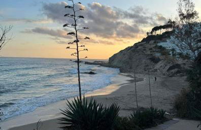 Villa Amarilla 4 Bed 3 Bath private pool - Photo 6