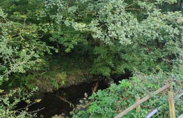 Glamping Hut - Sleeps 2 hot tub & parking - Foto 31